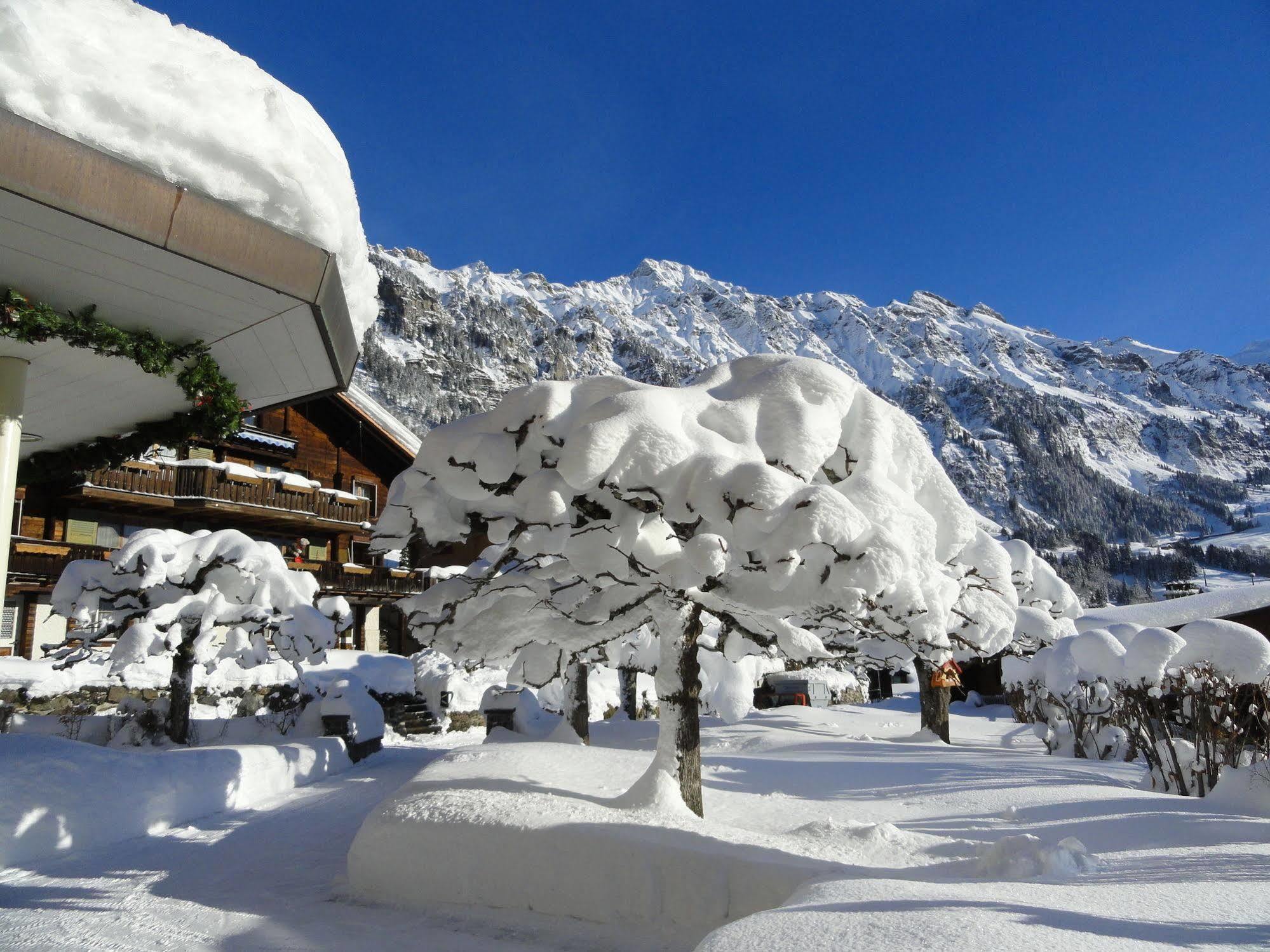 Hotel Alpenruhe - Vintage Design Hotel Βένγκεν Εξωτερικό φωτογραφία